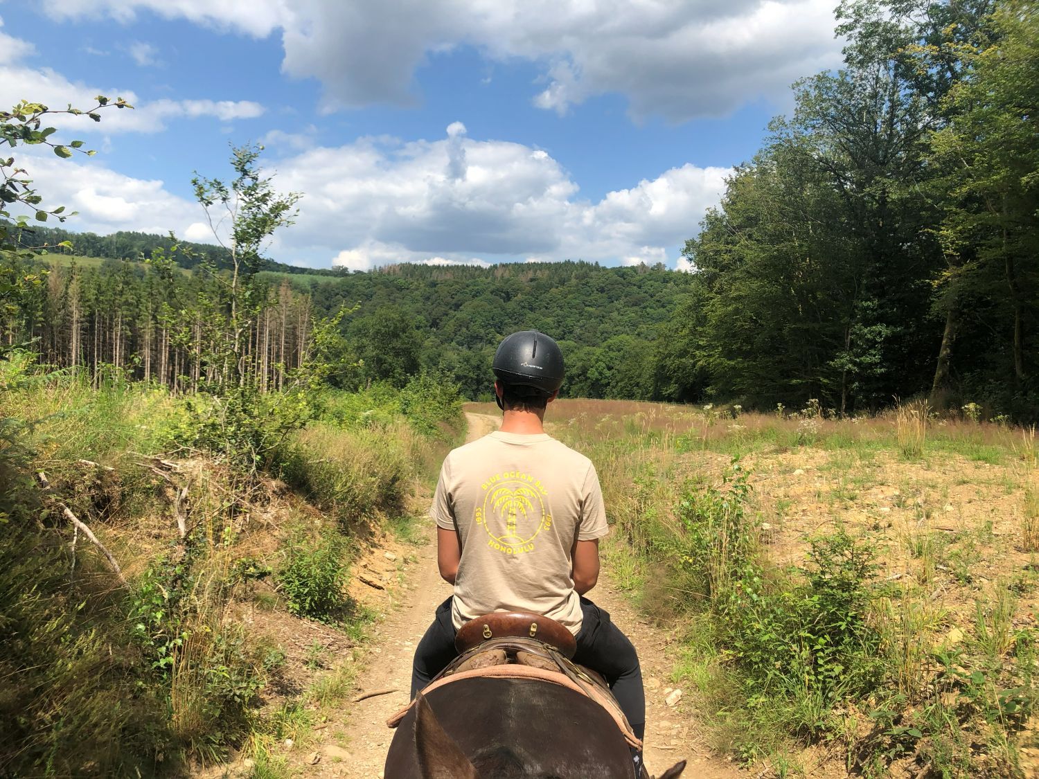 ardennen – paardrijden door natuur op bospad – belgie