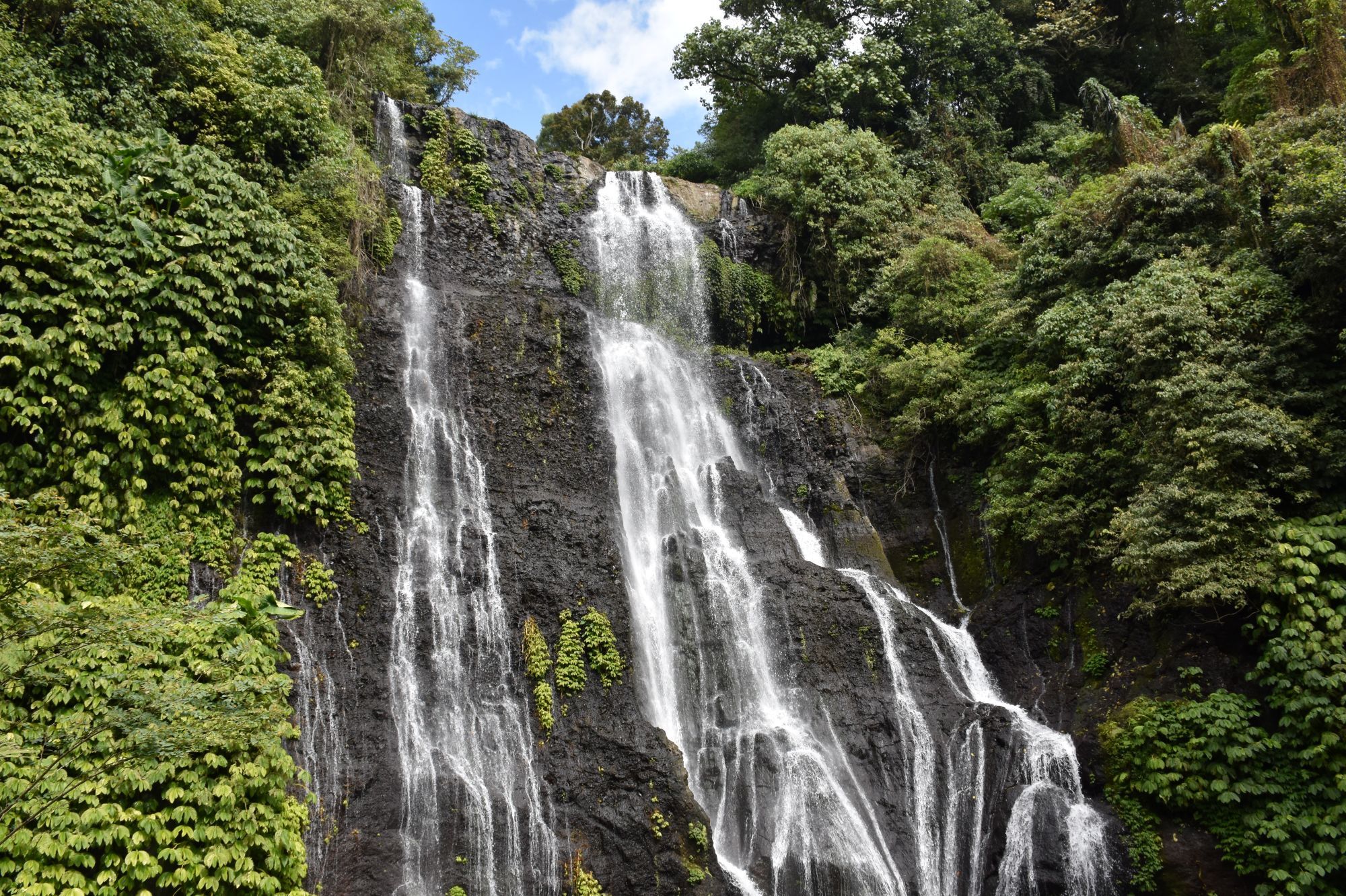 Banyumala Twin Waterfall op Bali met meerdere waterstromen die over donkere rotsen naar beneden vallen, omringd door weelderige tropische begroeiing