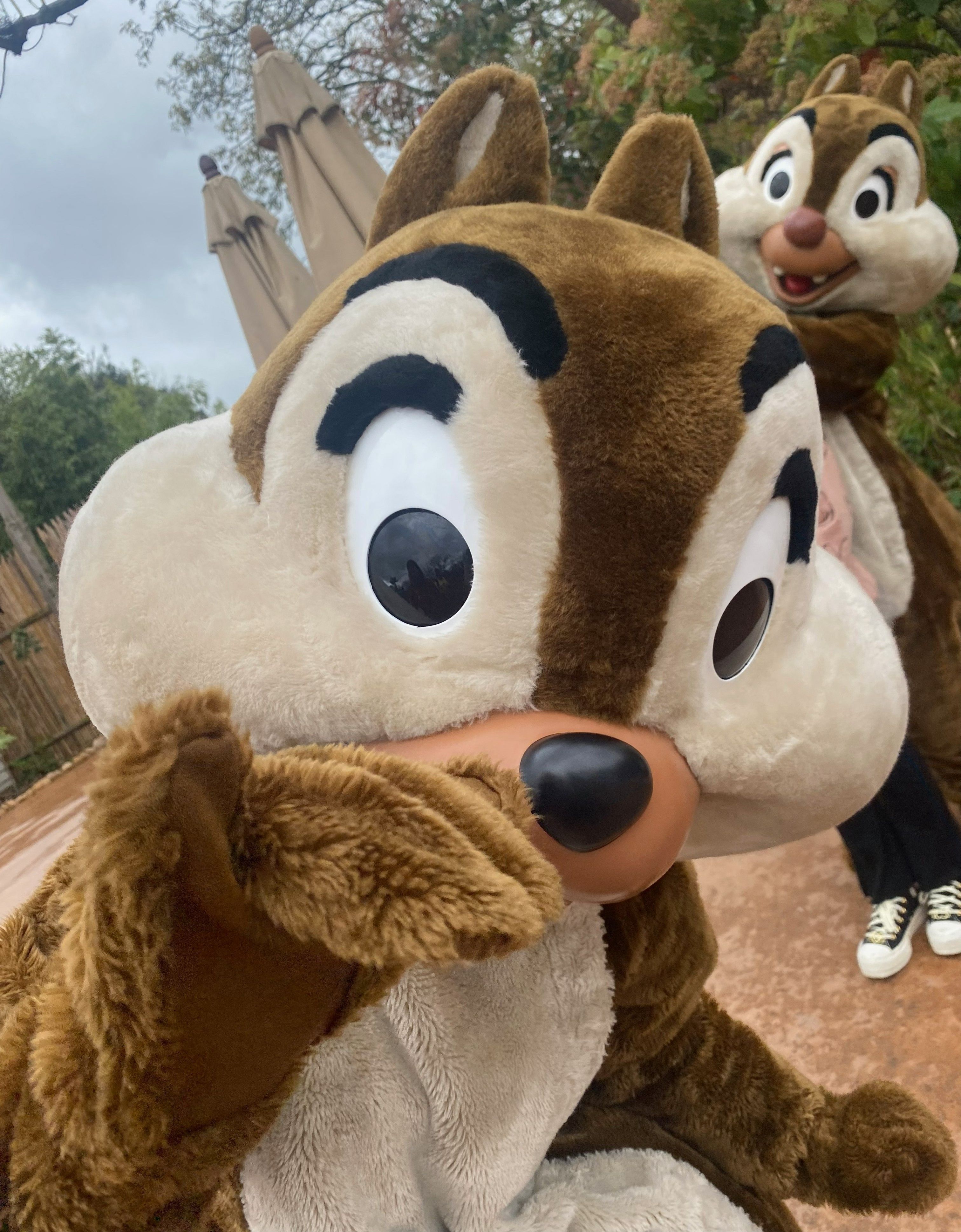 disney figuren tijdens meet and greet in disneyland parijs