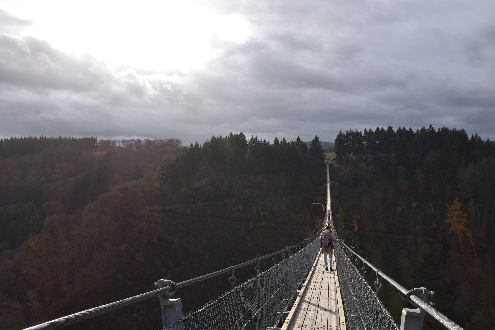 Eifel – wandelen over de Geierlay hangbrug tussen de beboste heuvels