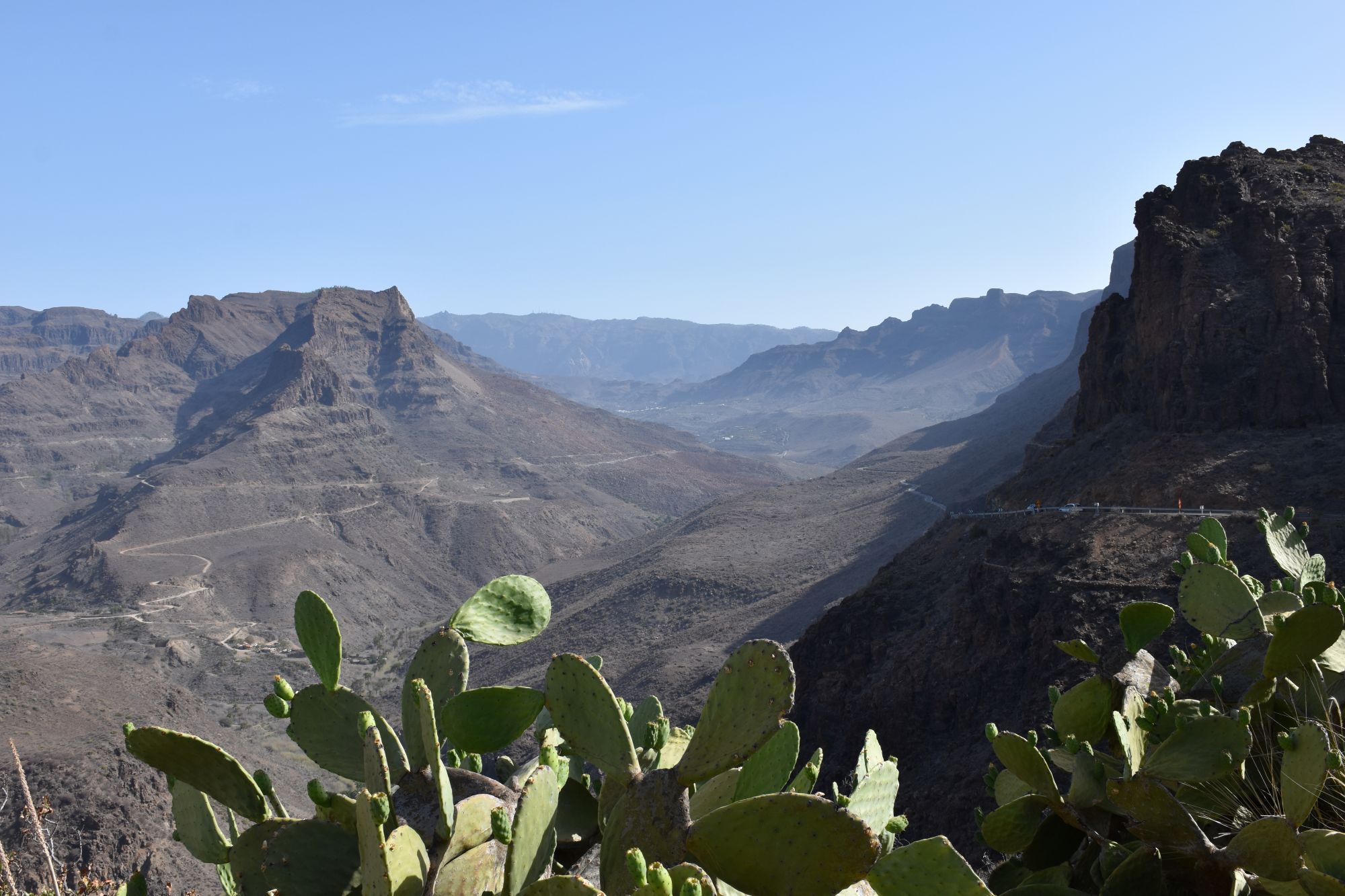 Vulkanisch landschap op Gran Canaria met bergen en cactussen