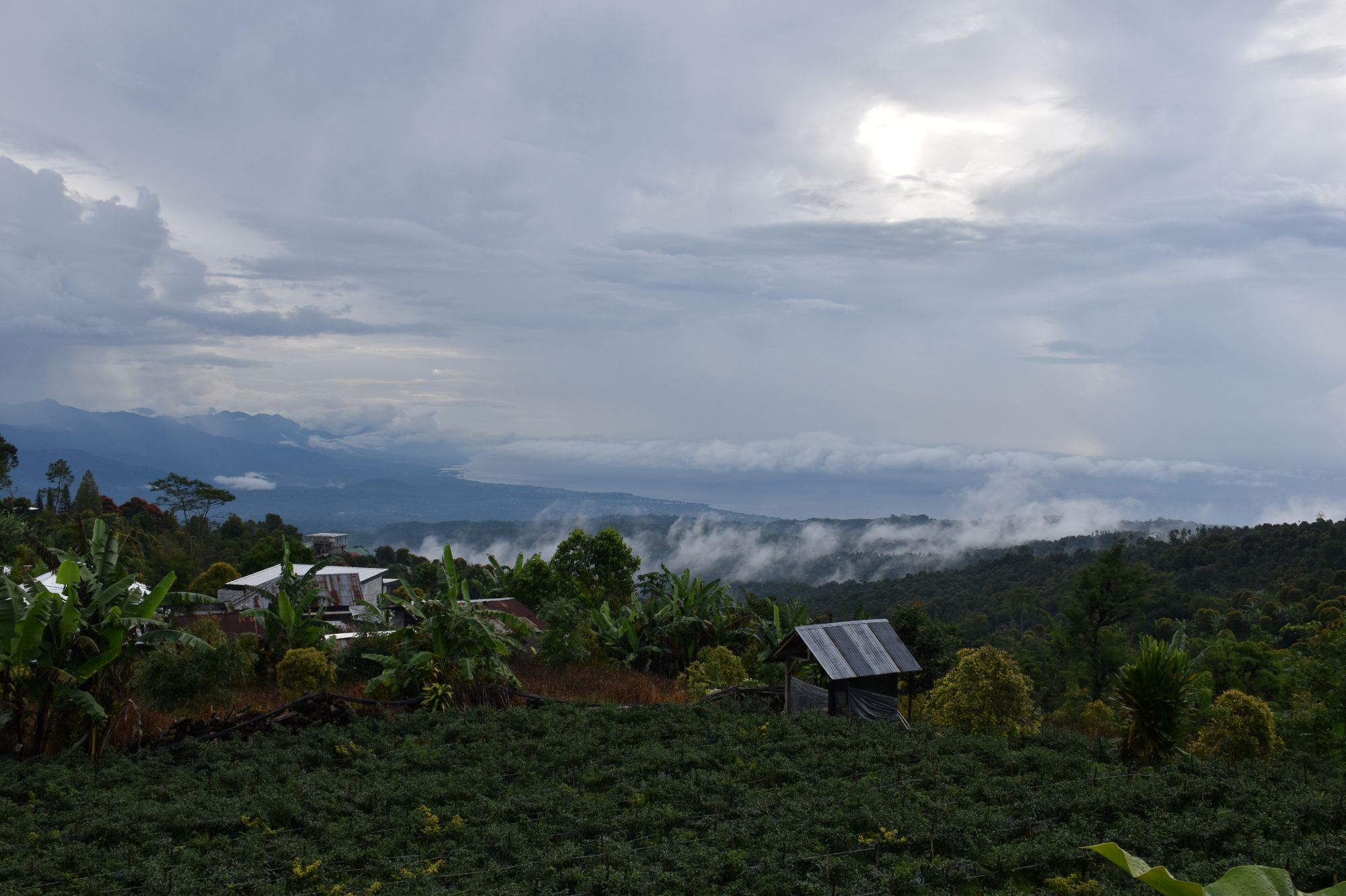 Uitzicht over de groene bergen van Munduk op Bali met laaghangende wolken, tropische begroeiing en kleine huisjes