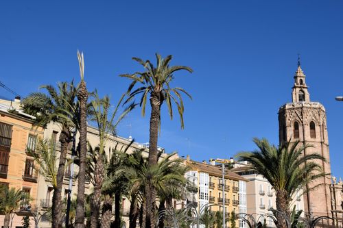 Valencia – palmbomen en historische gebouwen in de stad
