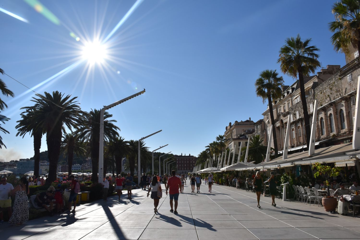 split – riva boulevard met palmbomen en terrasjes – kroatie