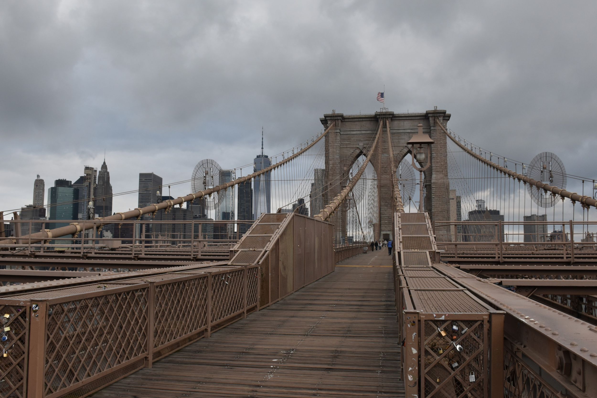 new york – brooklyn bridge met skyline – stedentrip