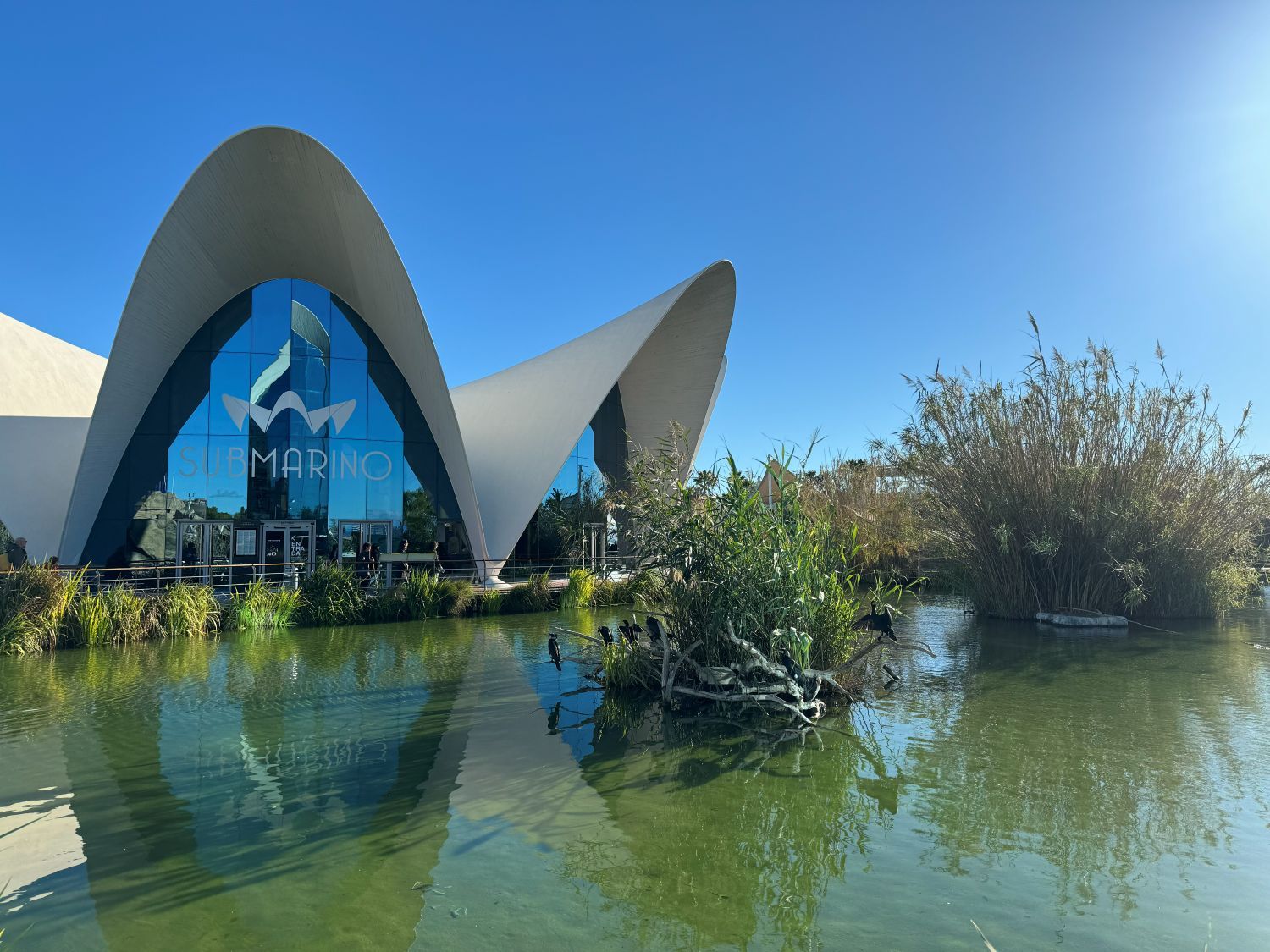 valencia – oceanografic ciudad de las artes – spanje
