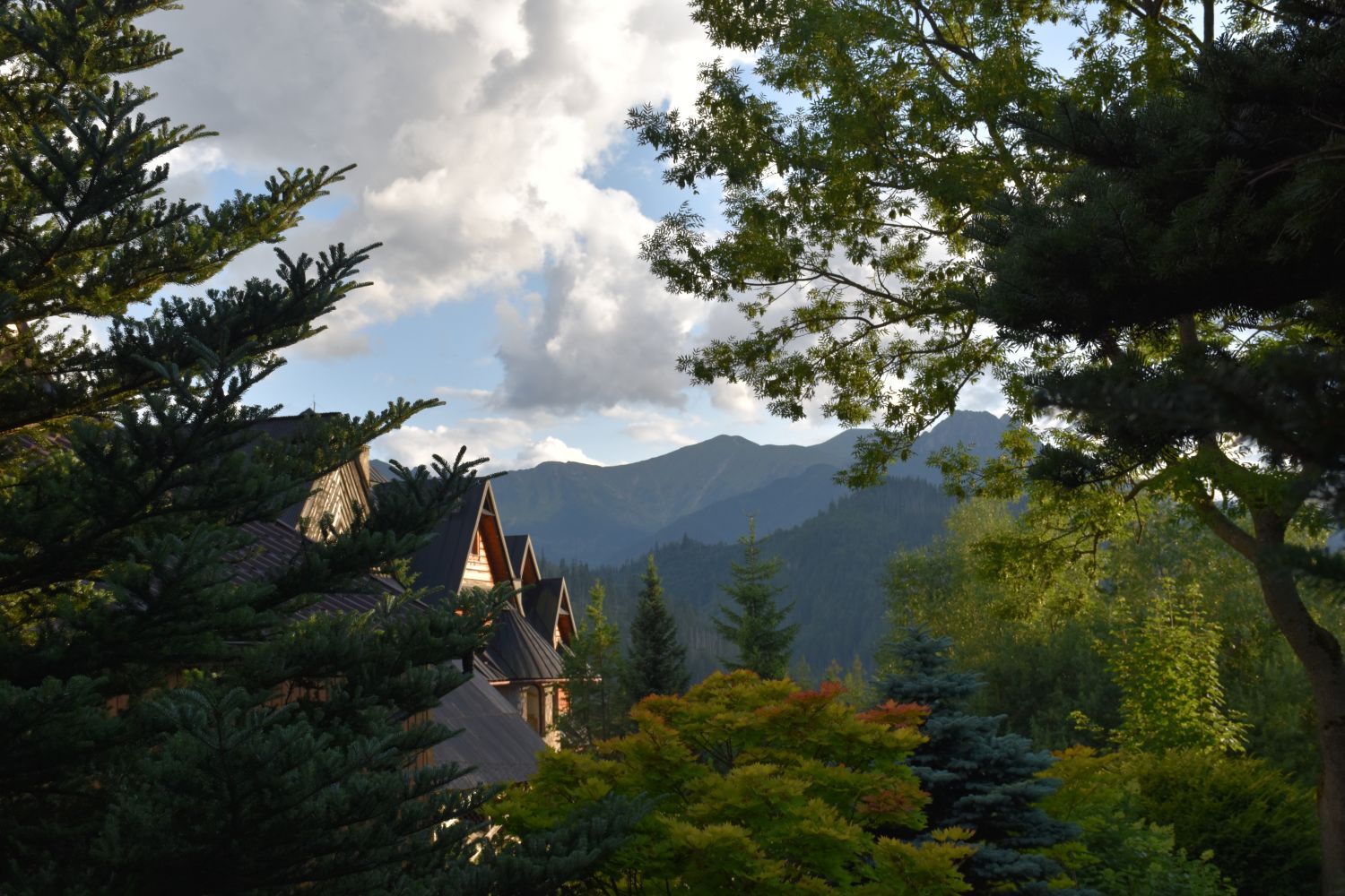 zakopane houten huizen met bergen en bomen op de achtergrond