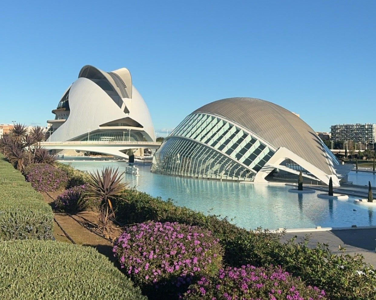 valencia – ciudad de las artes y las ciencias gebouwen – spanje