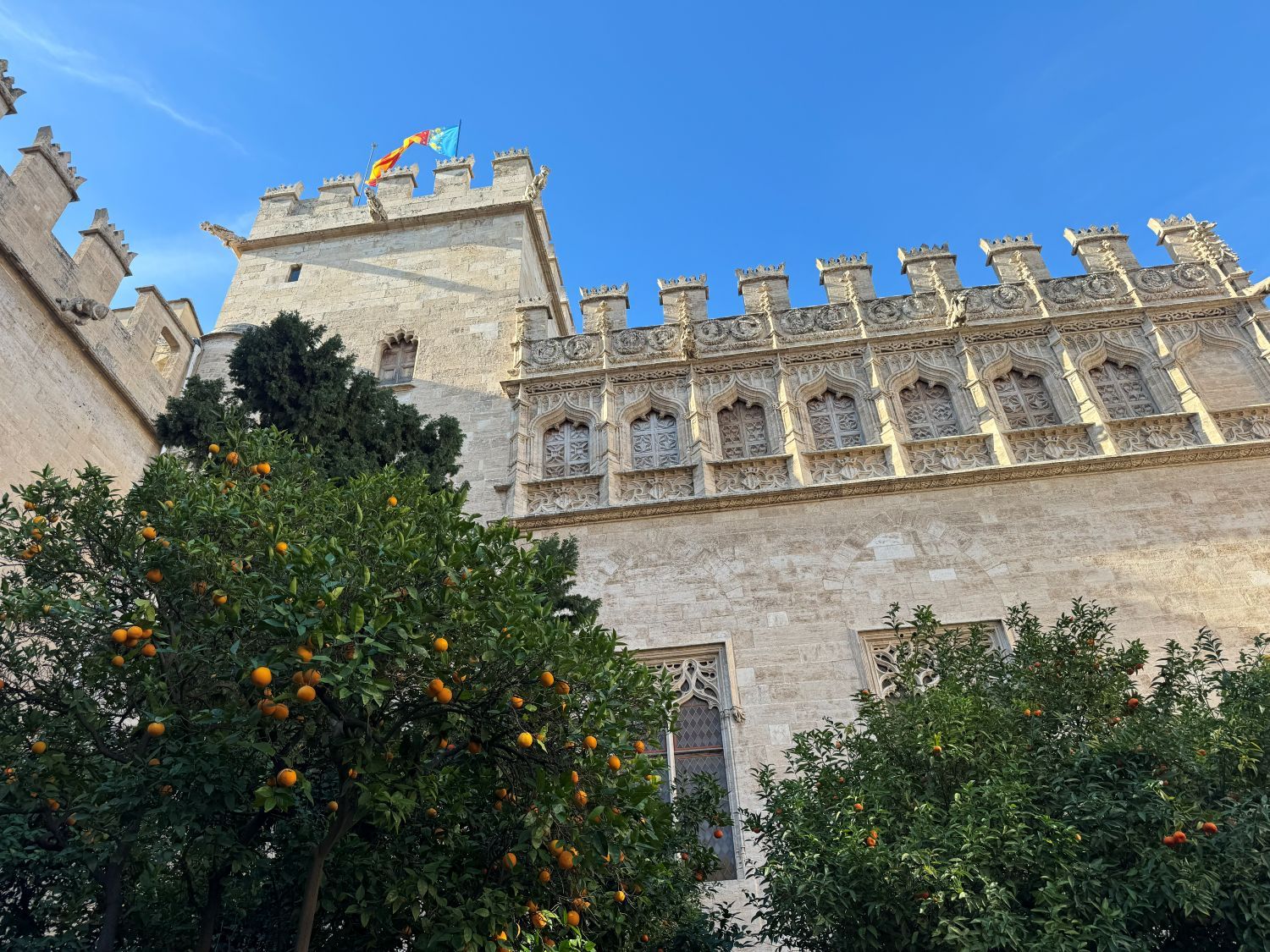valencia – sinaasappelbomen bij historisch gebouw – spanje