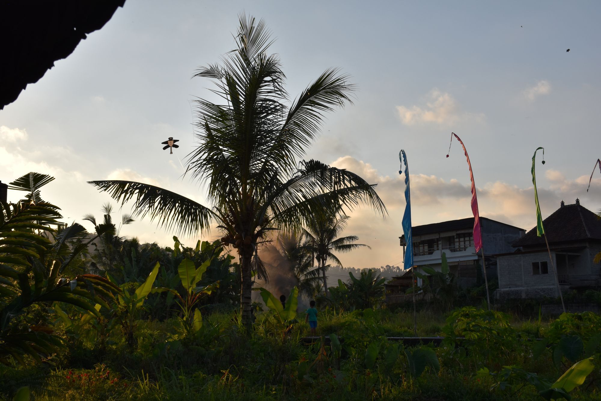 Kinderen laten vliegers op tussen de palmbomen en tropische begroeiing in Sidemen op Bali