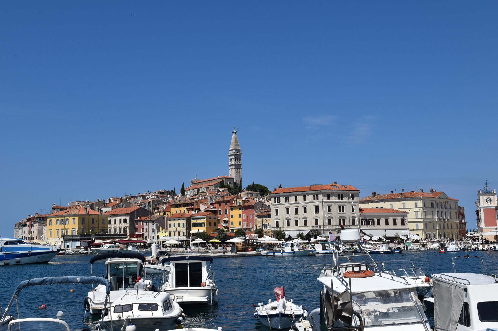 rovinj haven met boten en oude stad
